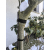 STALCO S042276667 Taśma spinająca rzepowa 16mm x 5m  07/25