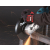 Makita GA9020R Szlifierka kątowa 2200W 230mm łagodny rozruch anty-restart   04/25  SUPER PROMOCJA
